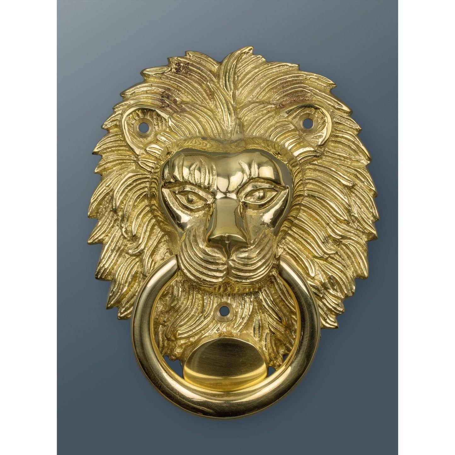 Brass Lion Door Knocker - Brass Finish - Brass bee