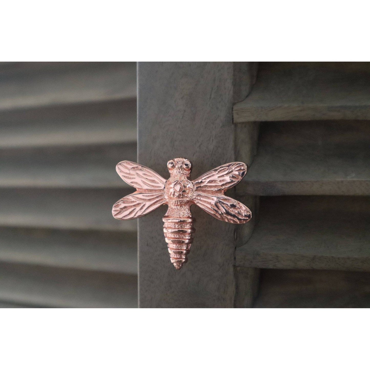 Brass Dragonfly Drawer Knob - Rose Gold Finish - Brass bee