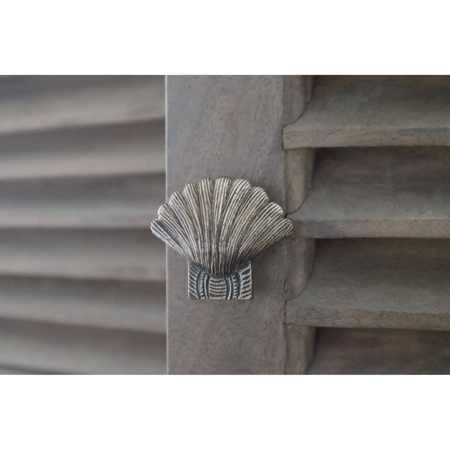 Brass Shell Drawer Cabinet Knob - Heritage Finish - Brass bee