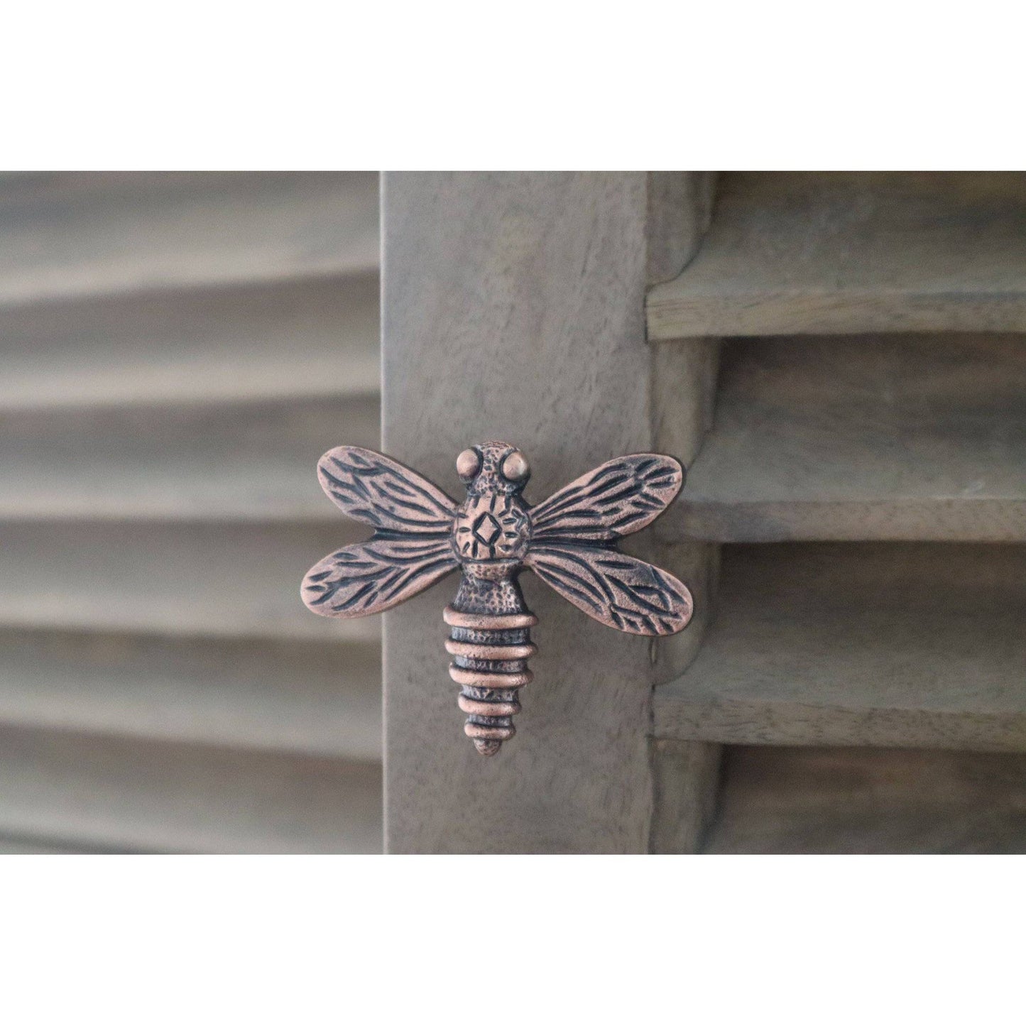 Brass Dragonfly Drawer Knob - Antique Copper Finish - Brass bee