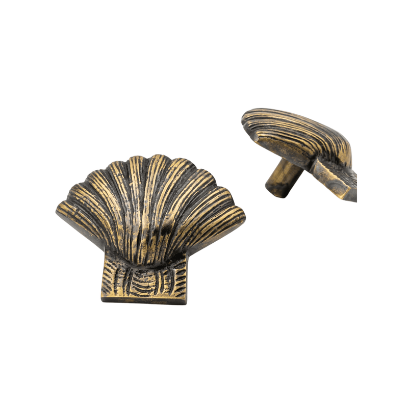 Brass Shell Drawer Cabinet Knob - Heritage Finish - Brass bee