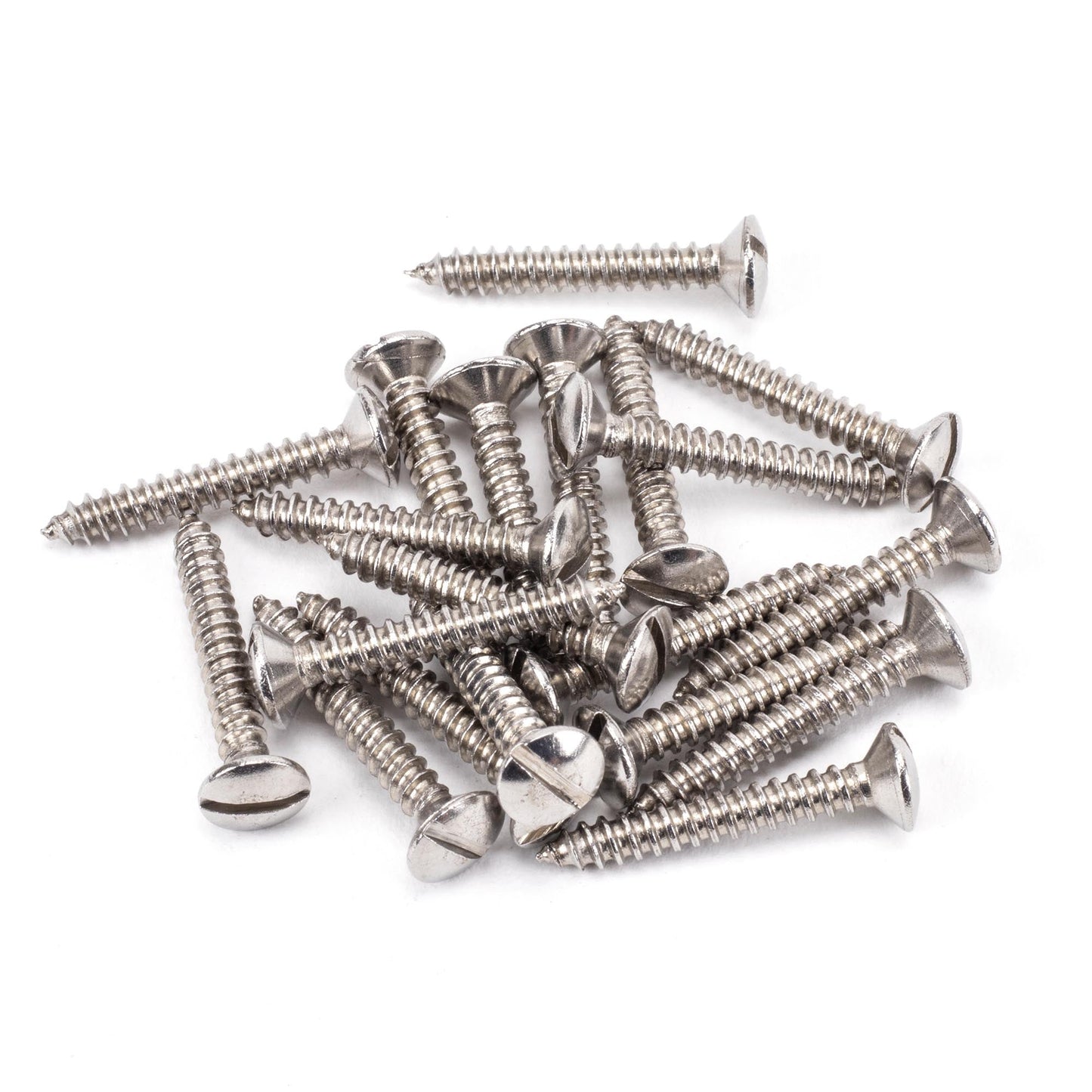 Countersunk Raised Head Screws (25)