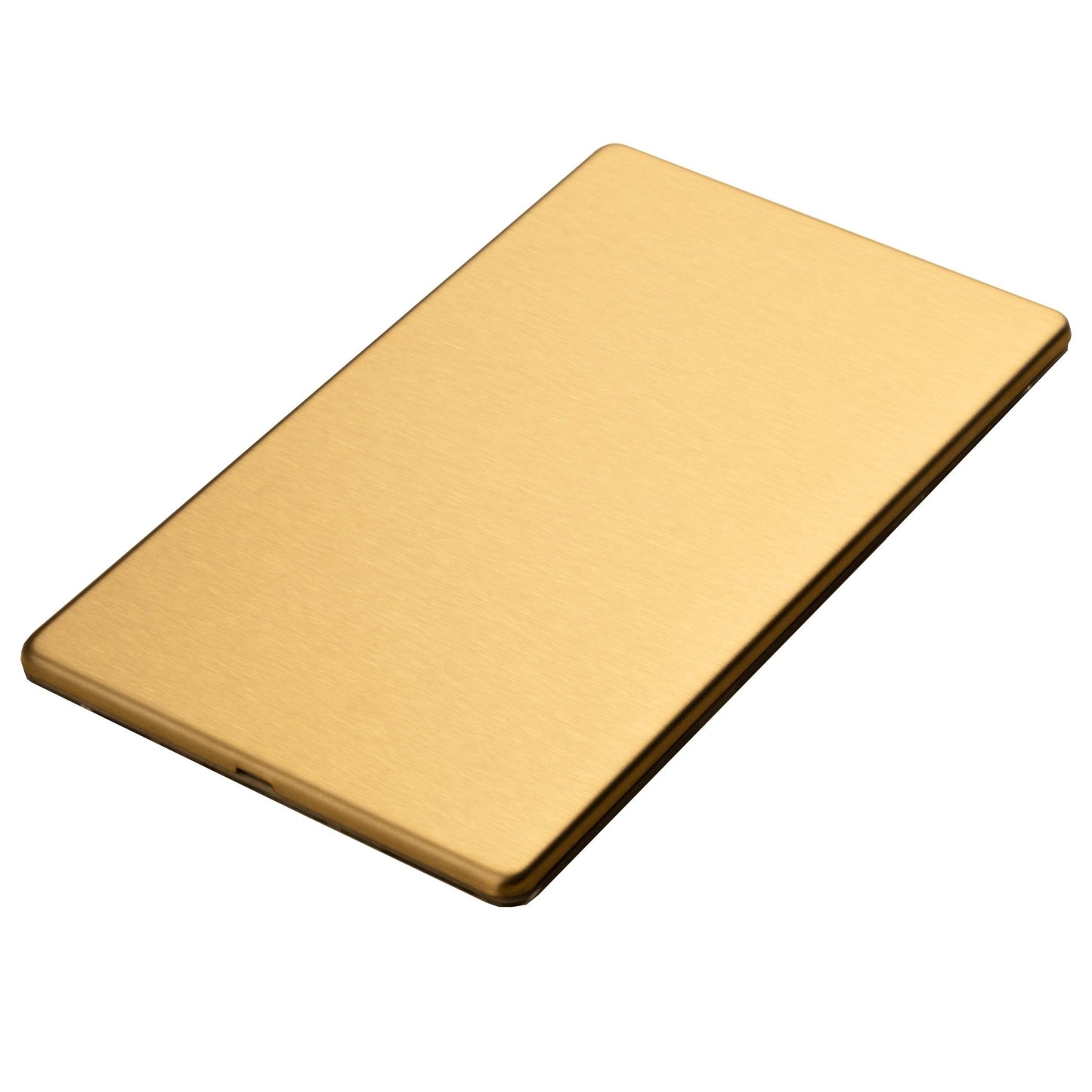 Eurolite Stainless Steel Double Blank Plate in satin brass finish, featuring a smooth and brushed surface, designed for covering electrical boxes.