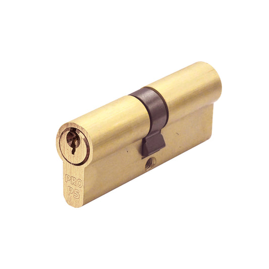 P5 Euro Profile Double Cylinder