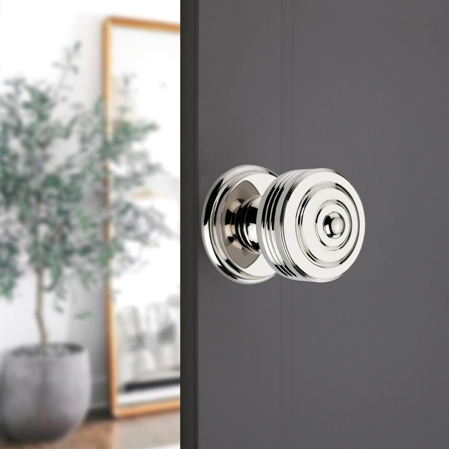 Carter Mortice/Rim Door Knob