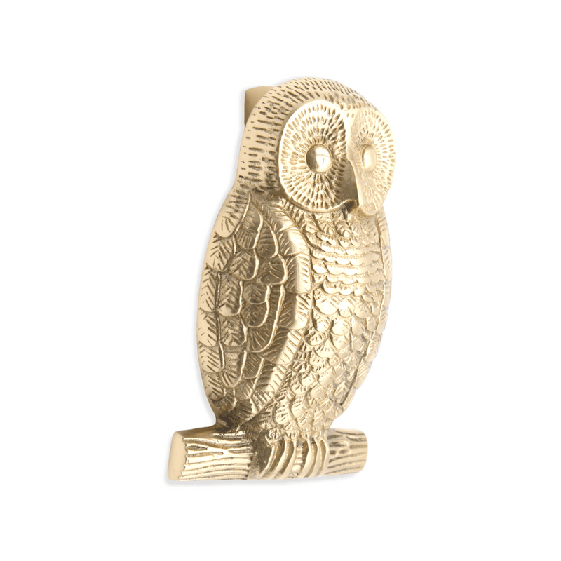 Spira Brass Owl Door Knocker in a polished brass finish, featuring detailed owl design and textured surface, mounted on a small branch.