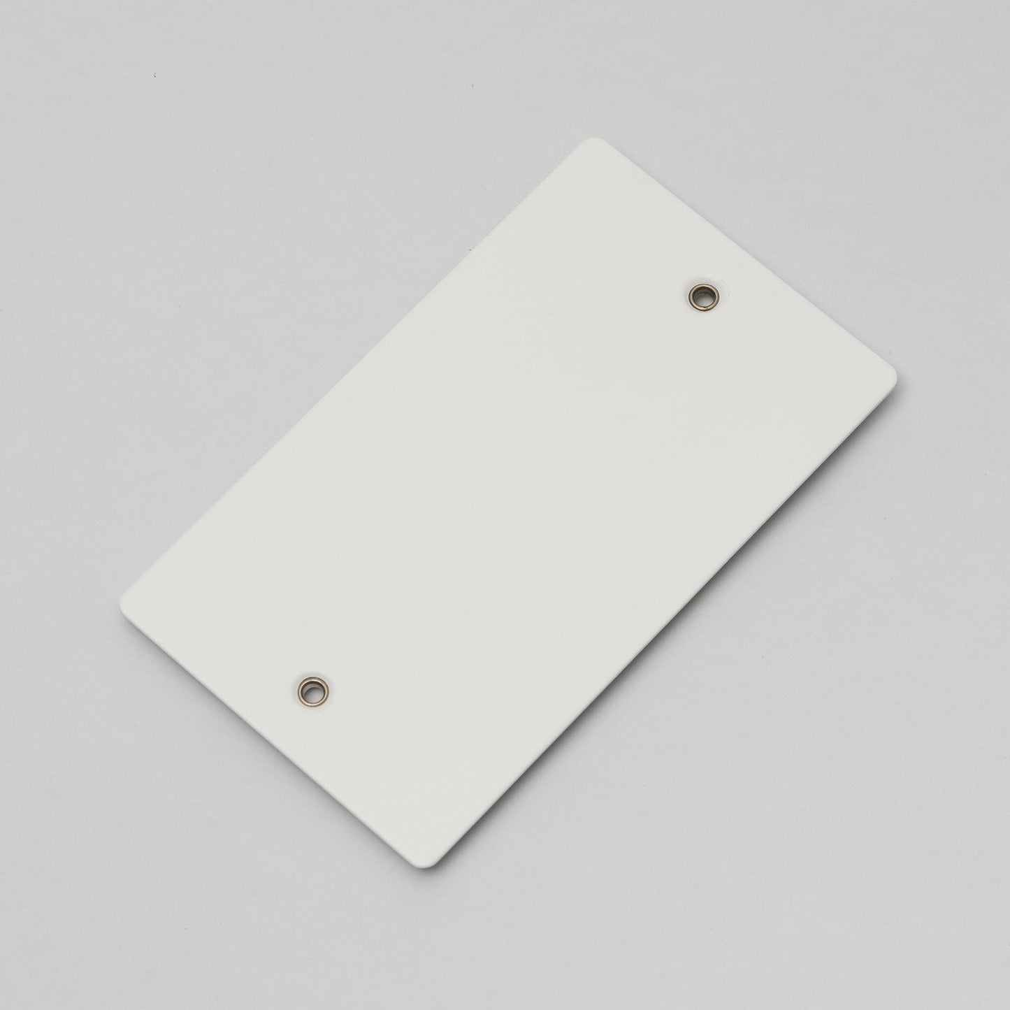 Buster + Punch 2G Wall Plate / Blank White