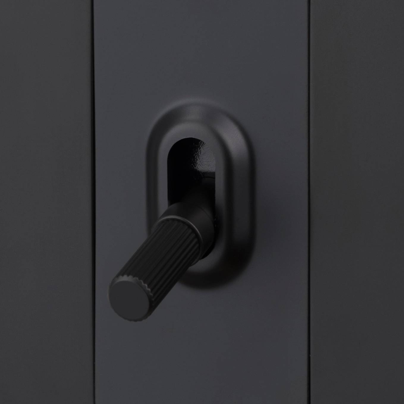 Buster + Punch 4G Toggle / 2-WAY / Linear