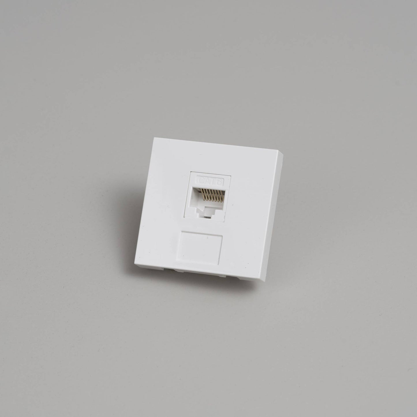 Buster + Punch Rj45 Module / 45 Mm White