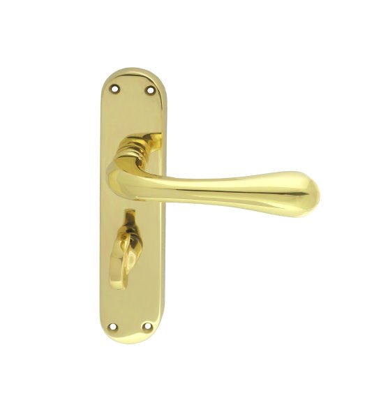 Carlisle Brass Astro Lever on Backplate in polished brass finish, featuring a curved lever handle and matching backplate with visible mounting holes.