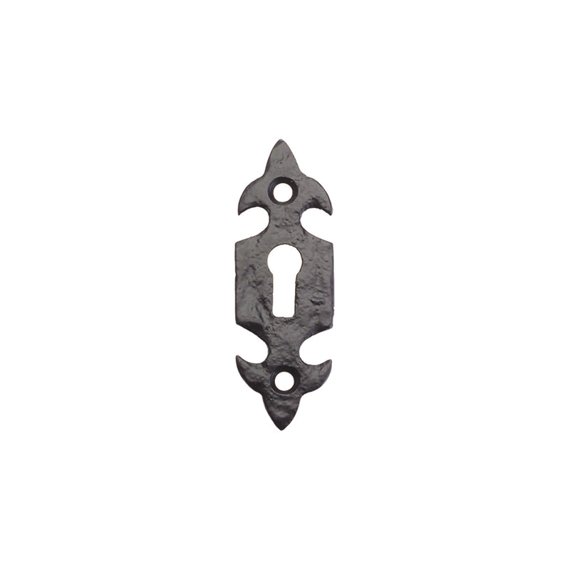 Fleur De Lys Escutcheon - Standard - 3