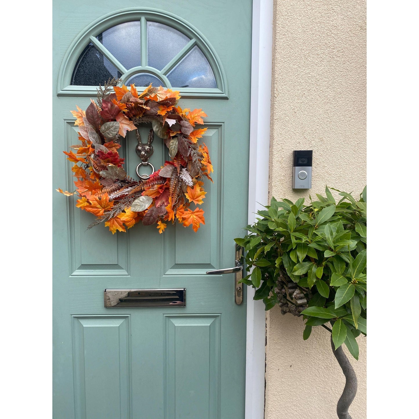 Brass Hare Door Knocker - Nickel Finish - Brass bee