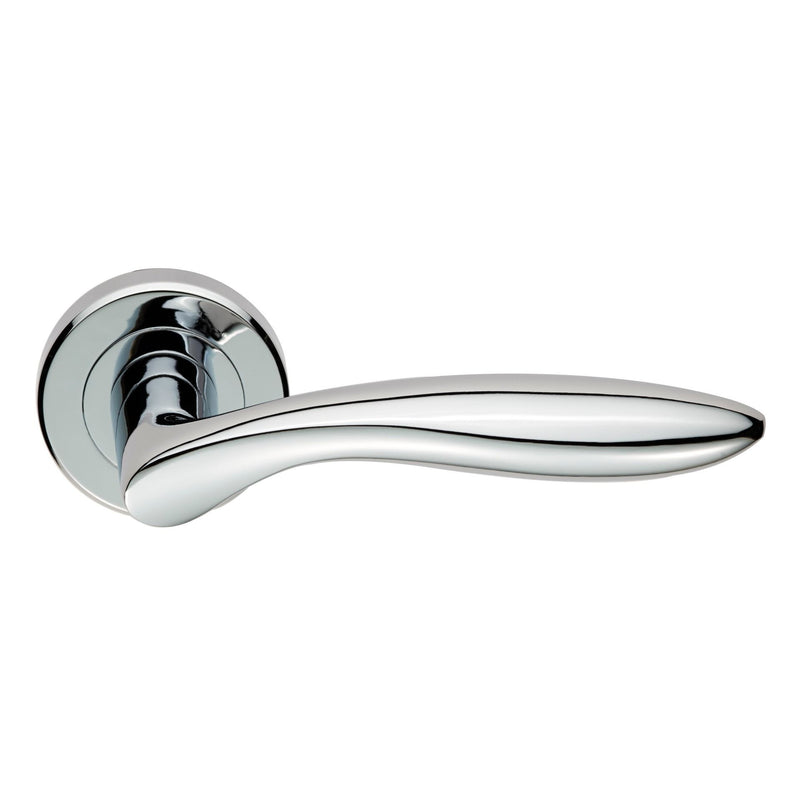 Shark Lever on Rose