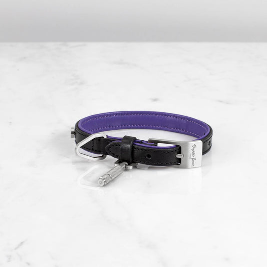 Buster + Punch Dog Collar / Cross / Black / Purple Steel