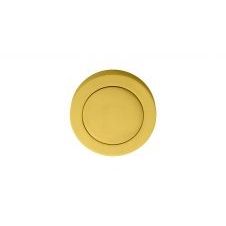 Blank Escutcheon