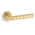 Satin Brass