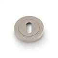 Standard Profile Concealed Fix Escutcheon Satin Nickel Love Handles uk