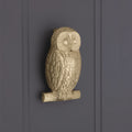 Owl Door Knocker satin brass