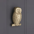 Owl Door Knocker polished brass