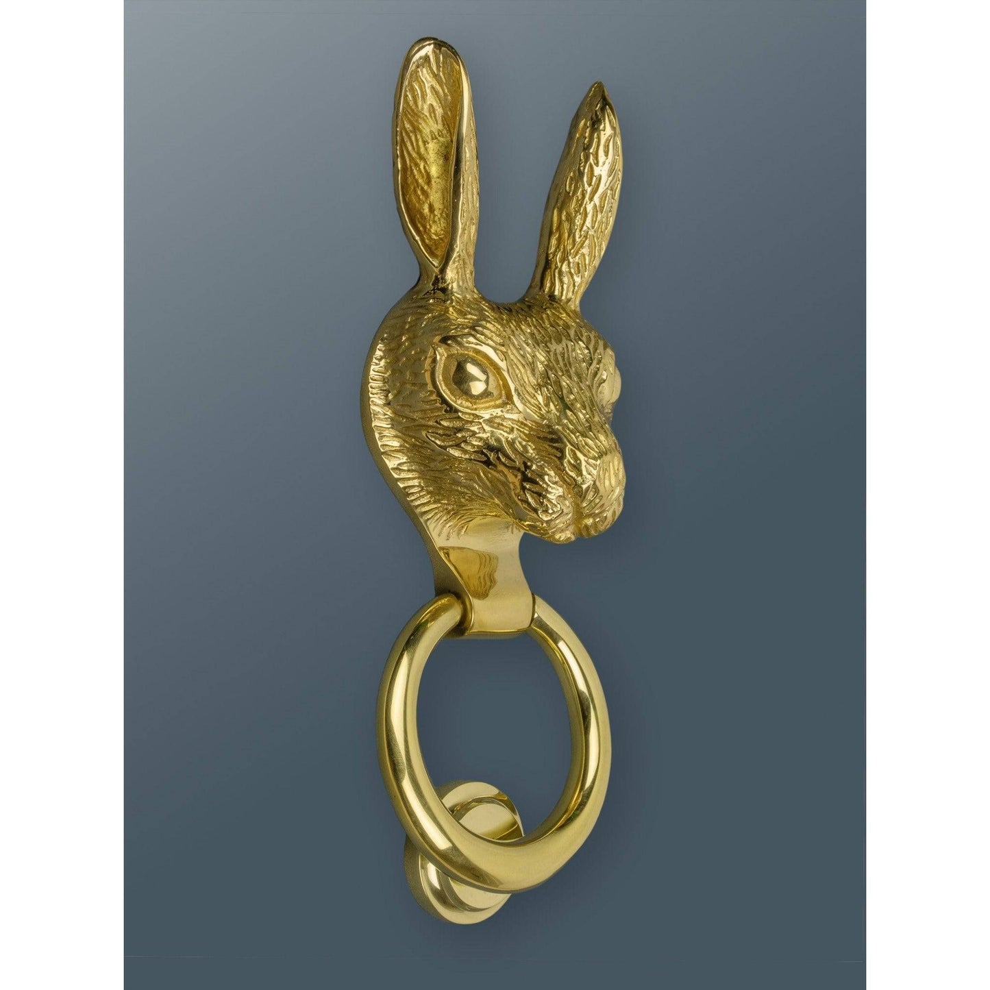 Brass Hare Door Knocker - Brass Finish - Brass bee