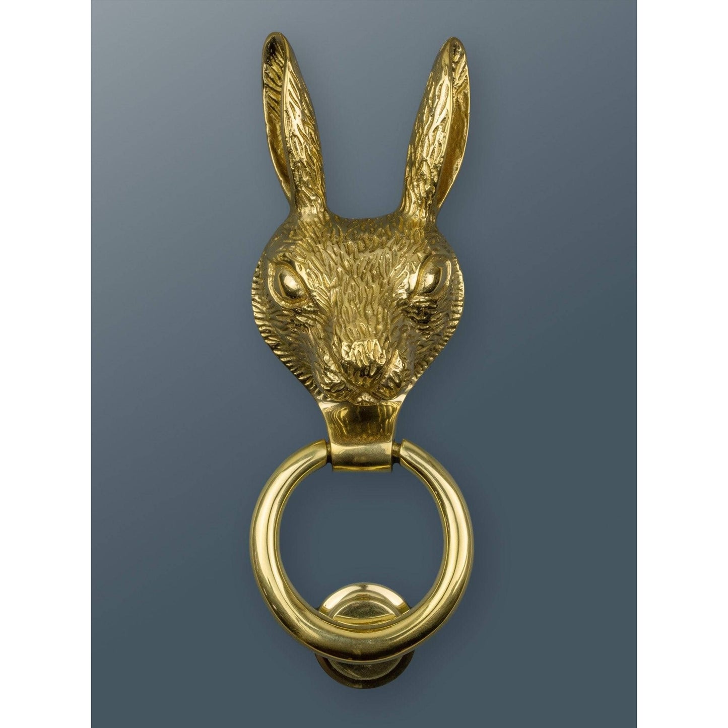Brass Hare Door Knocker - Brass Finish - Brass bee