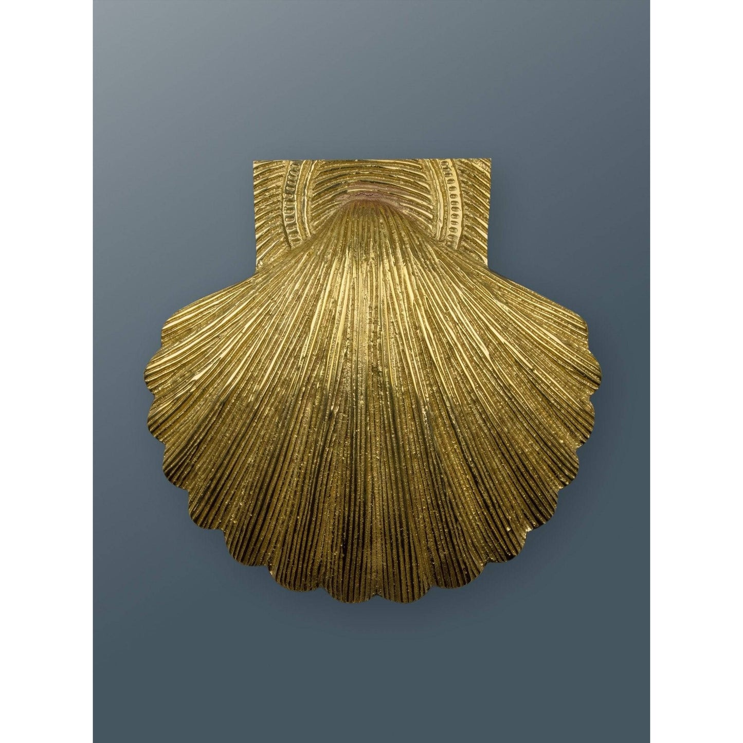 Brass Shell Door Knocker - Brass Finish - Brass bee