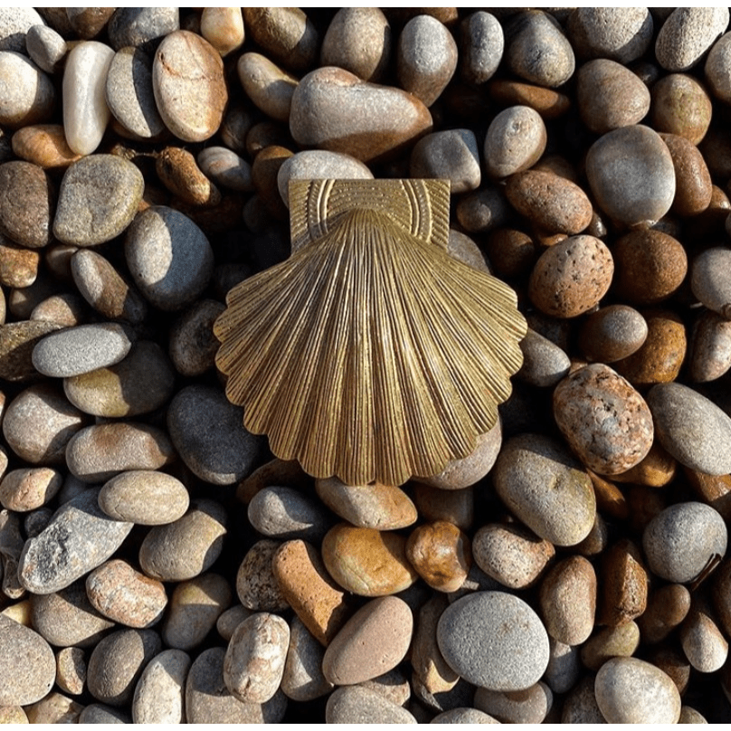 Brass Shell Door Knocker - Brass Finish - Brass bee