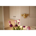 Brass Bee Drawer Cabinet Knob - Brass Finish - Brass bee