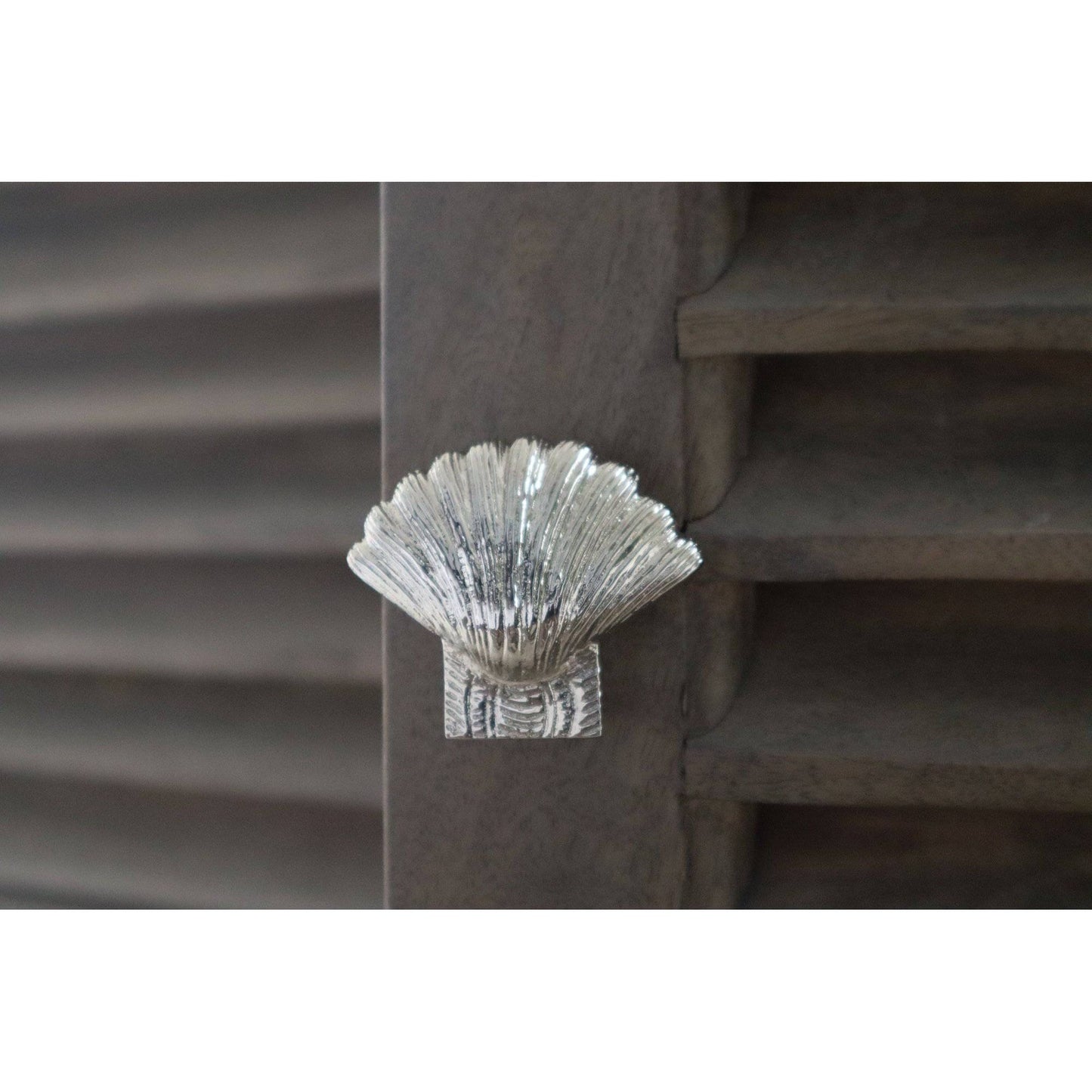 Brass Shell Drawer Cabinet Knob - Nickel Finish - Brass bee
