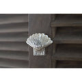 Brass Shell Drawer Cabinet Knob - Nickel Finish - Brass bee