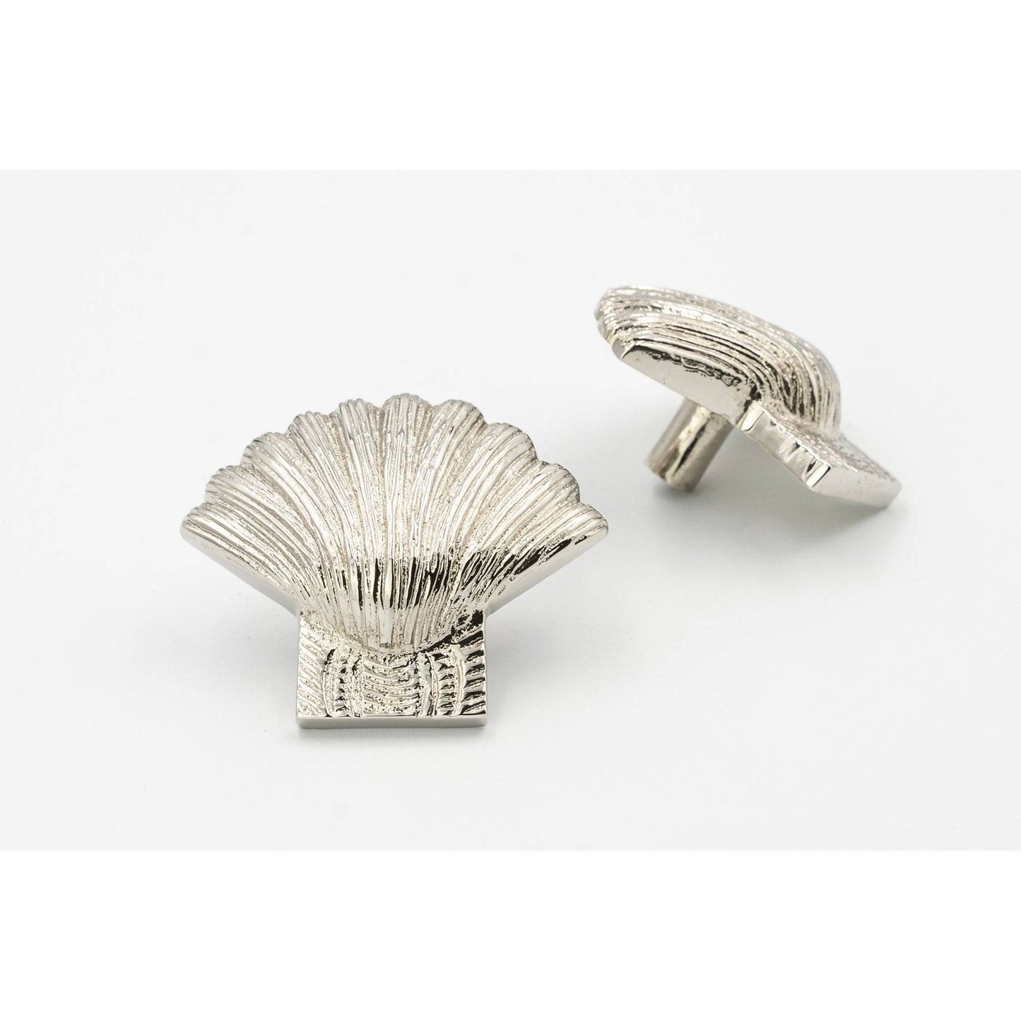 Brass Shell Drawer Cabinet Knob - Nickel Finish - Brass bee