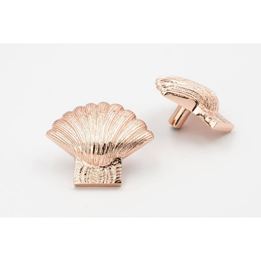 Brass Shell Drawer Cabinet Knob - Rose Gold Finish - Brass bee