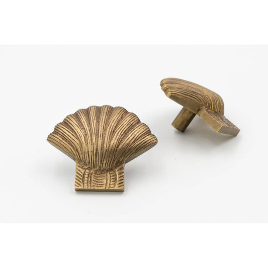 Brass Shell Drawer Cabinet Knob - Bronze Finish - Brass bee