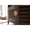 Brass Lion Drawer Cabinet Knob - Rose Gold Finish - Brass bee