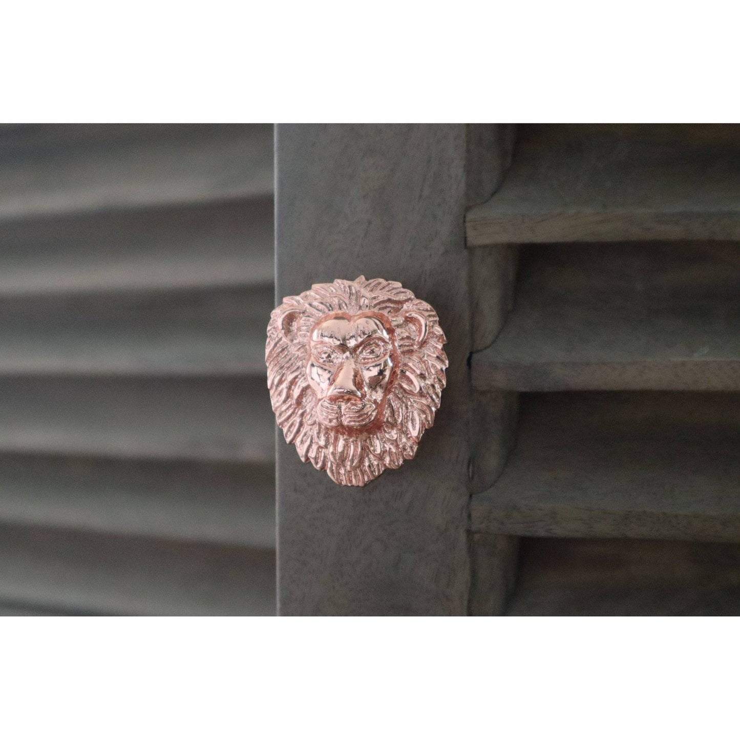 Brass Lion Drawer Cabinet Knob - Rose Gold Finish - Brass bee