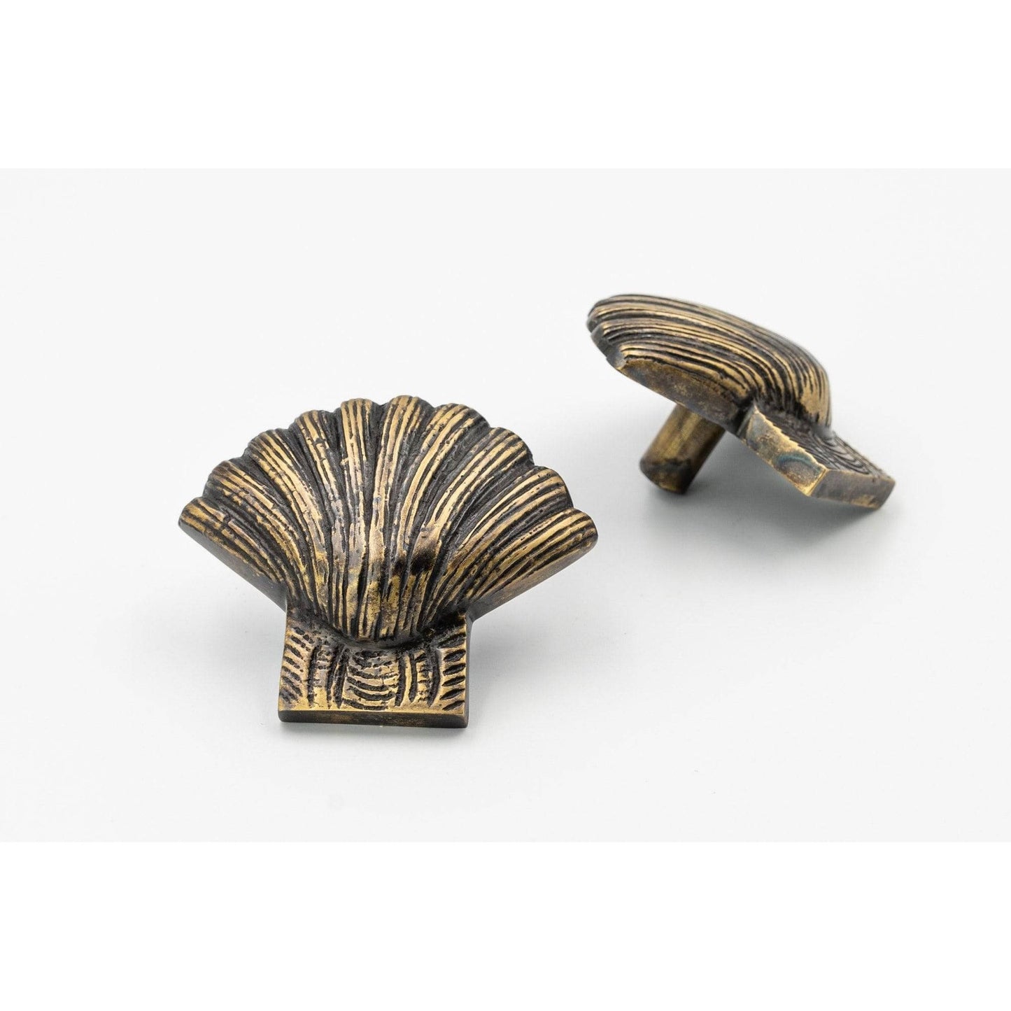 Brass Shell Drawer Cabinet Knob - Heritage Finish - Brass bee