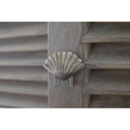 Brass Shell Drawer Cabinet Knob - Heritage Finish - Brass bee