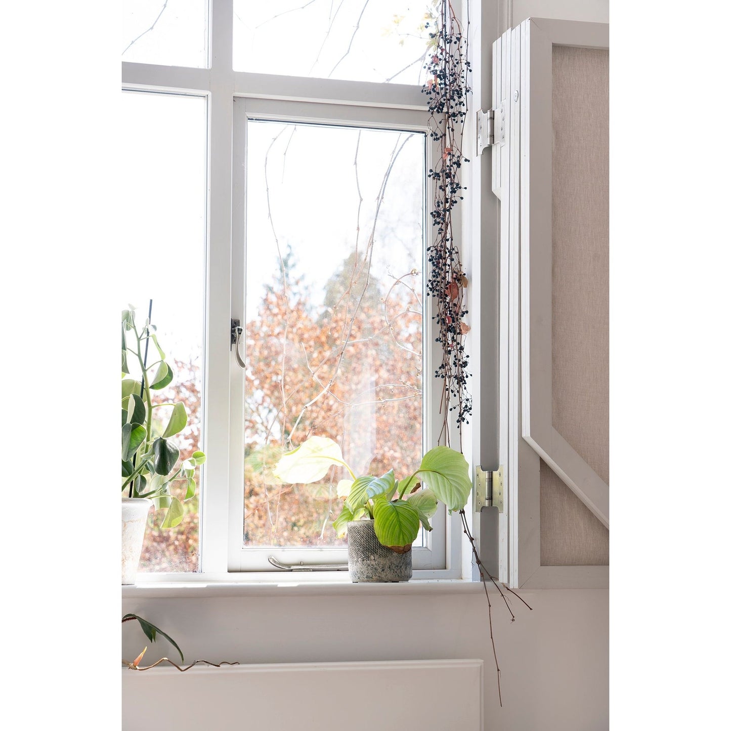 Parliament Hinges SS (pair)