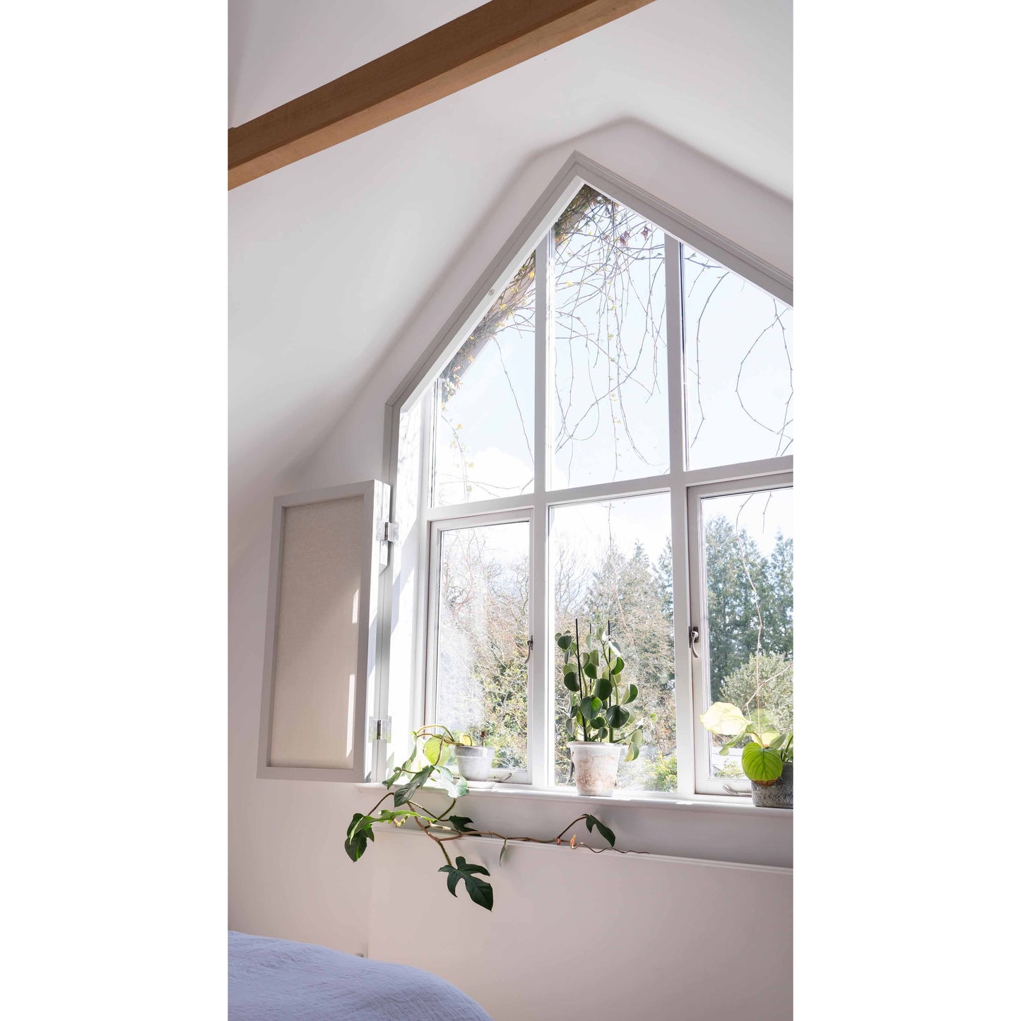 Parliament Hinges SS (pair)