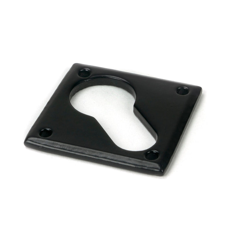 Diamond Euro Escutcheon