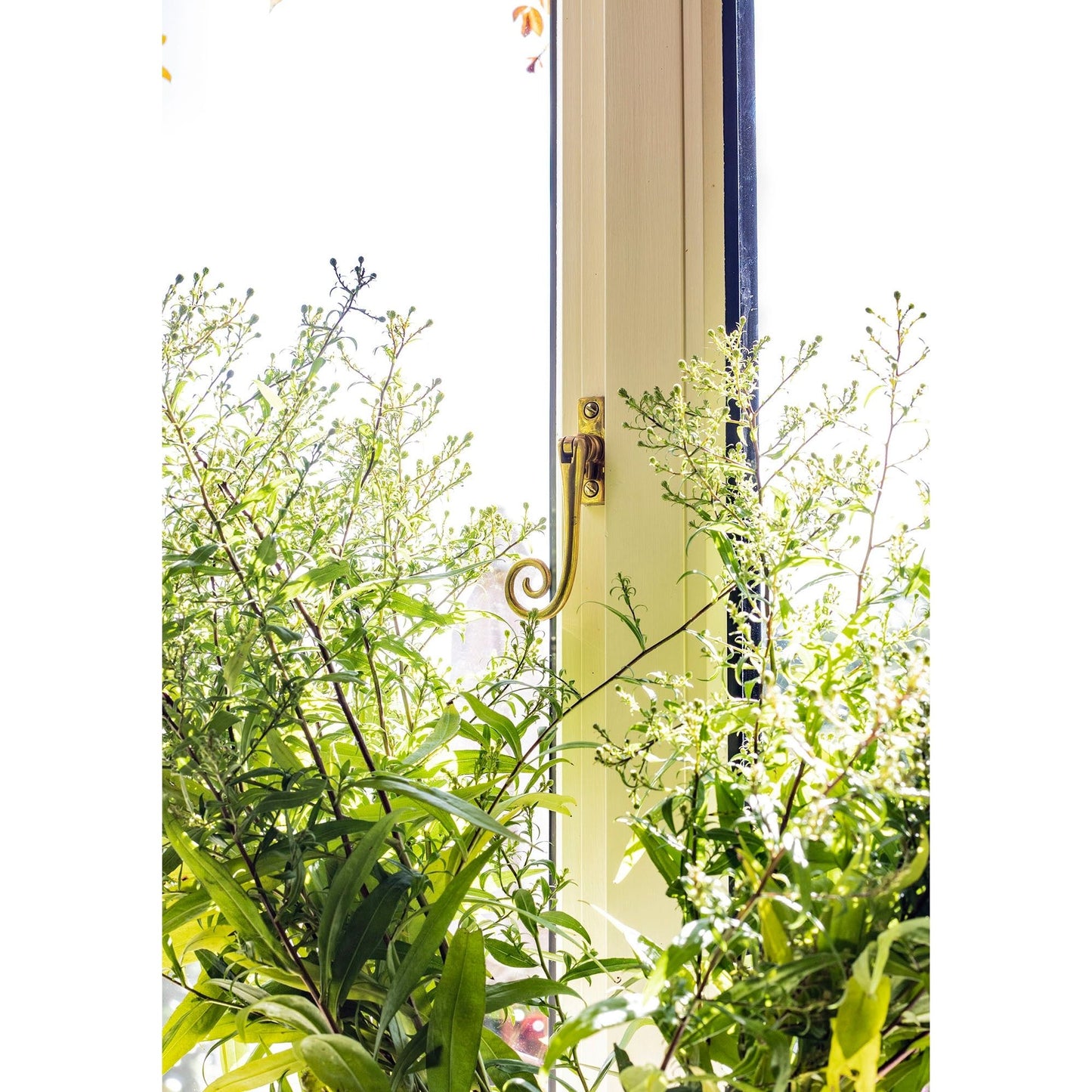 Slim Monkeytail Espag