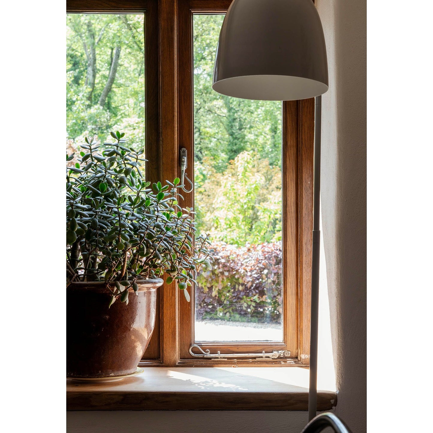 Shepherd's Crook Espag