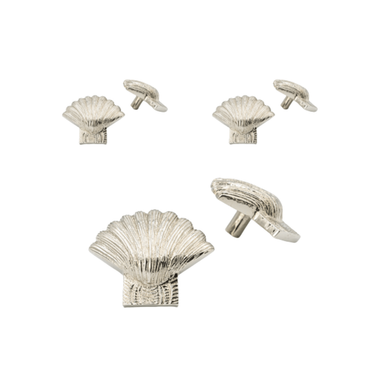 x6 Brass Shell Drawer Cabinet  Knobs - Nickel, Heritage, Bronze & Rose Gold Finishes - Brass bee
