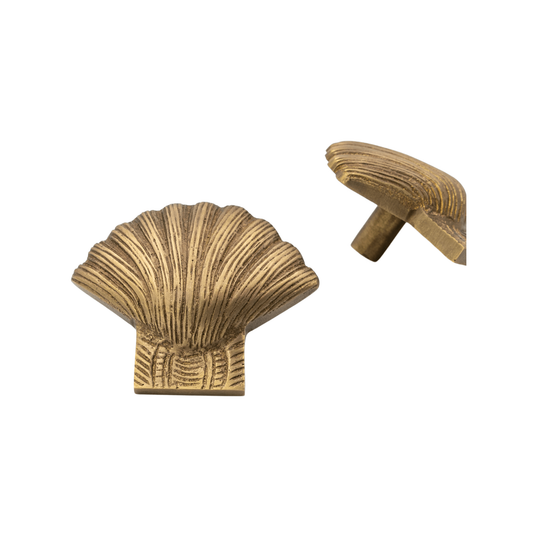 Brass Shell Drawer Cabinet Knob - Bronze Finish - Brass bee