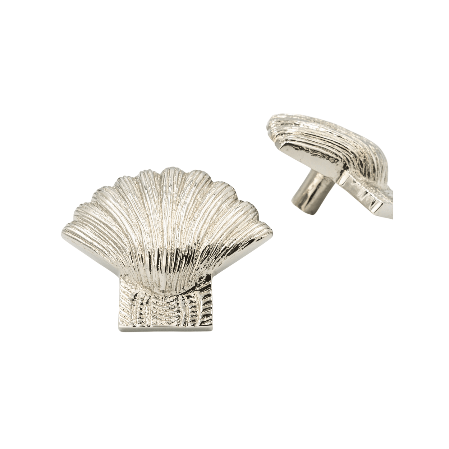 Brass Shell Drawer Cabinet Knob - Nickel Finish - Brass bee