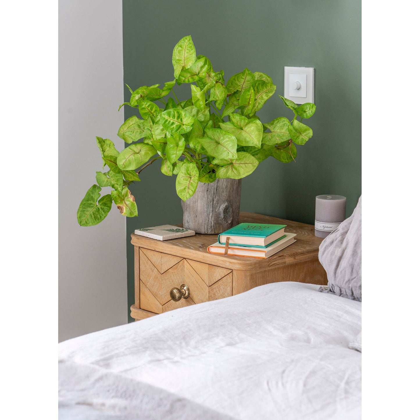 Hammered Mushroom Cabinet Knob