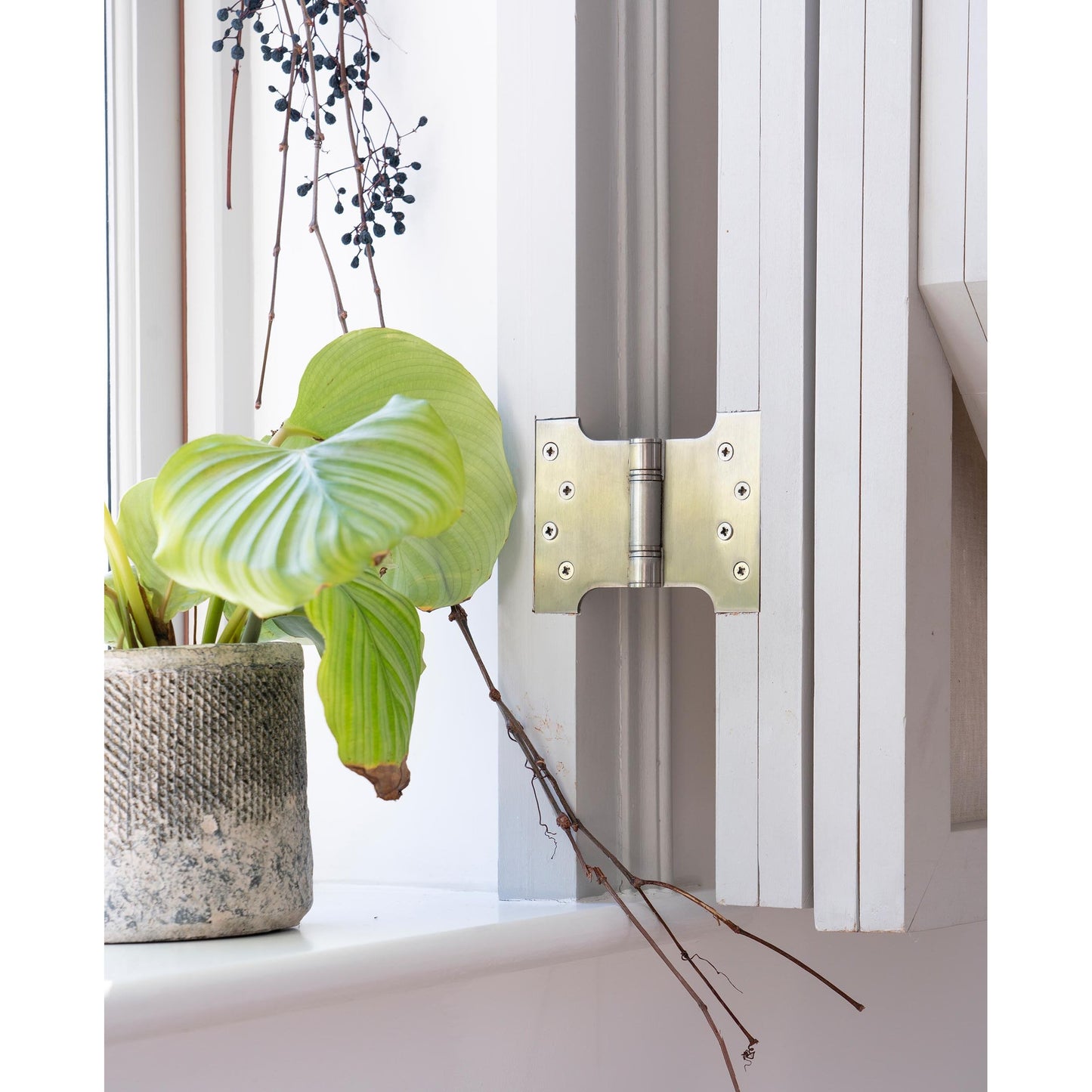 Parliament Hinges SS (pair)