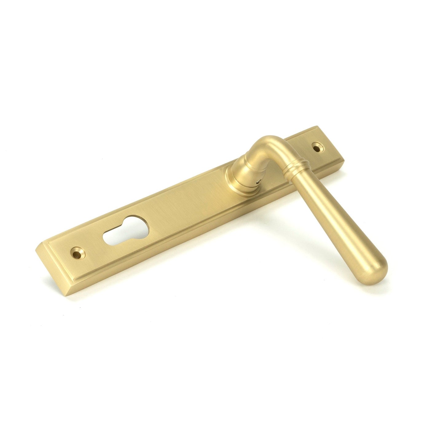 Newbury Slimline Lever Espag. Lock Set