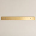 Brass bee Brass Backplate in satin brass finish, featuring a long rectangular shape designed for 128mm/160mm hole-to-hole handles, showing two pre-drilled holes.