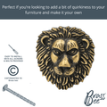 Brass Lion Drawer Cabinet Knob - Antique Brass Finish - Brass bee